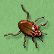 bugs and insect critters outdoors theme bedroom decorating ideas  bug critters theme bedroom ideas - outdoorsy bedroom ideas outdoor bedroom decorating ideas - backyard bedroom ideas - camping bedrooms - treehouse bedroom ideas