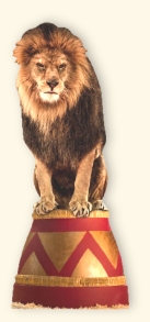 Circus Lion Life Size Cardboard Cutout Standup