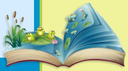 Book with Image Frogs Wall Decal  frog room wall decorations frog themed wall decal stickers