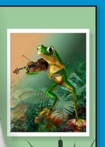  froggy wall art frog posters frog art prints  frog pond Framed Canvas frog wall art