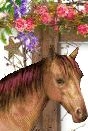Horse Girls Bedroom Ideas, Girls Horse Themed Bedrooms, Girls Horse Themed Bedroom Ideas, horse themed bedroom decoration, Horse Inspired Girls Room, Equestrian Themed Bedroomsm Decor, Horse Wall Art